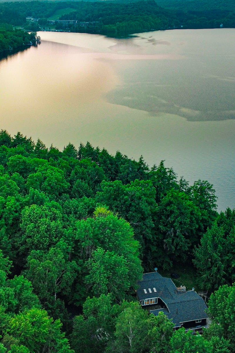 Scenic aerial view of lush green forest and tranquil lake in Ontario summer landscape.